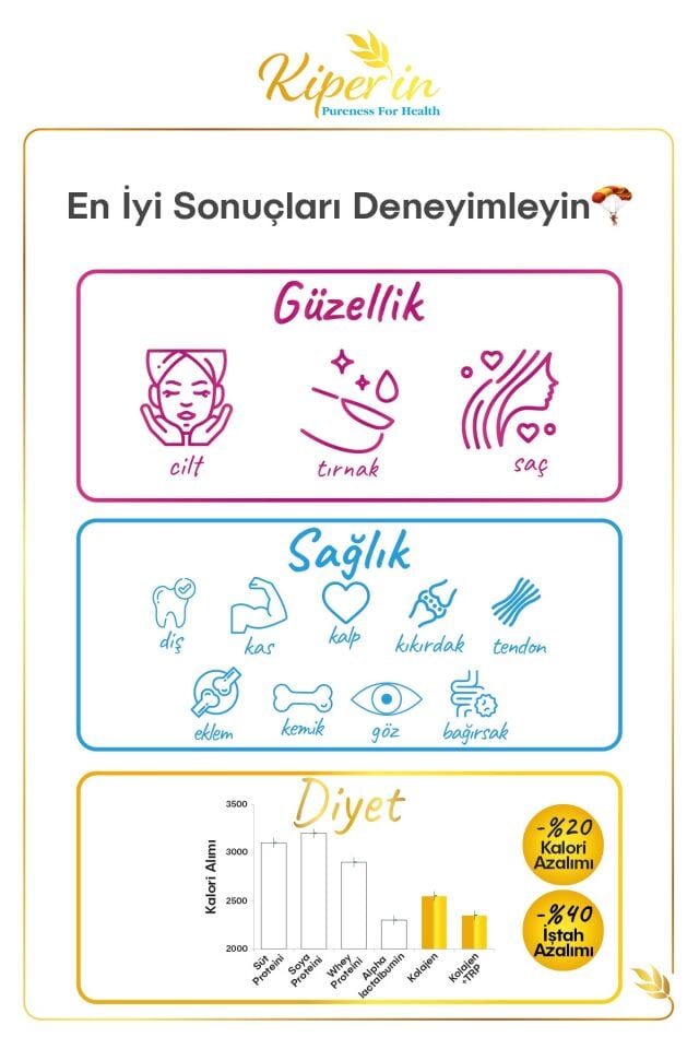 Kiperin Collagen %100 Saf Ve Doğal Yüksek Biyoaktif Çift Hidrolize Kolajen Peptitler Içeren Diyet Takviyesi(50günlük)